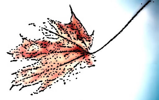 Autumn Leaf